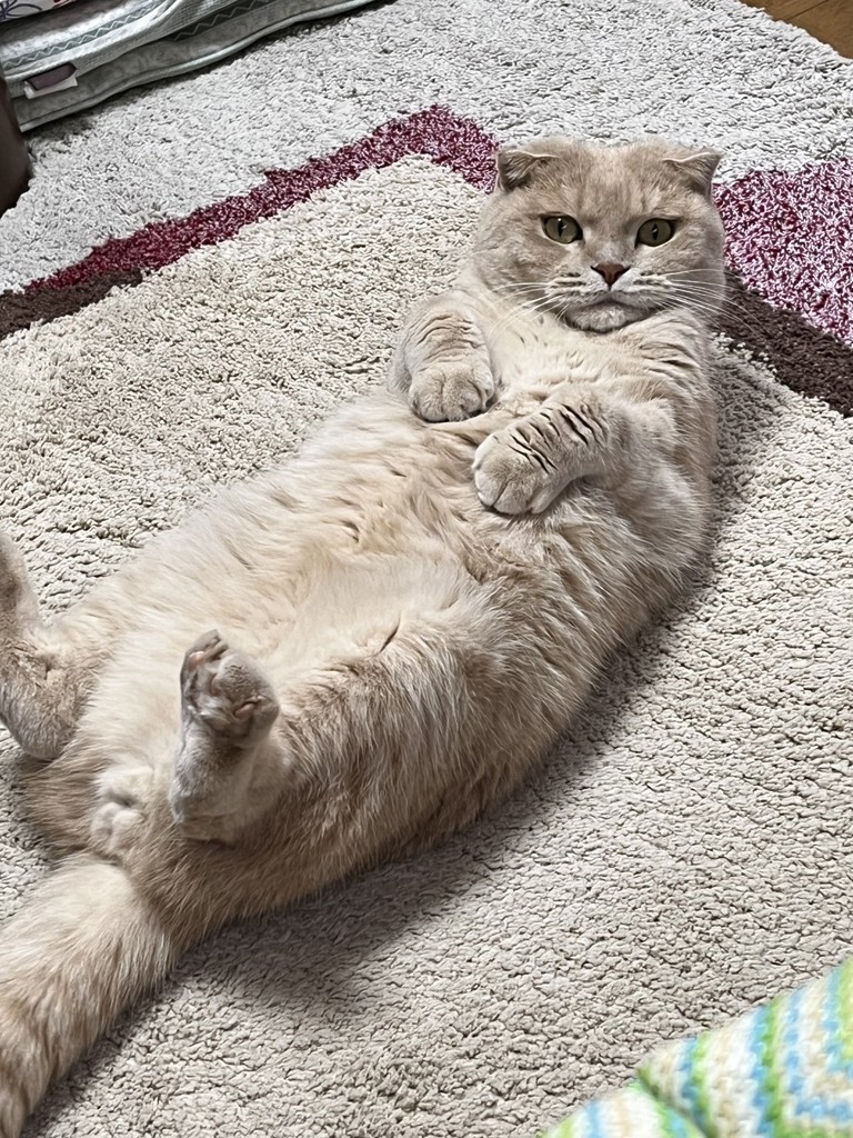 no name