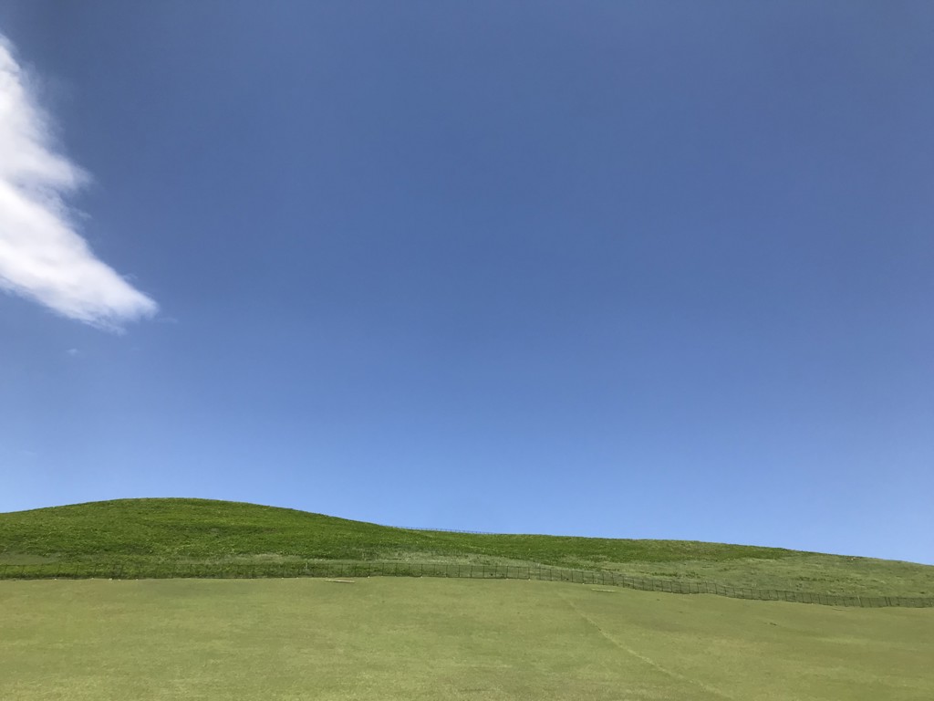 JPP ライト ヘリオスグリーン LED マイルド HELIOS GREEN LED MILD