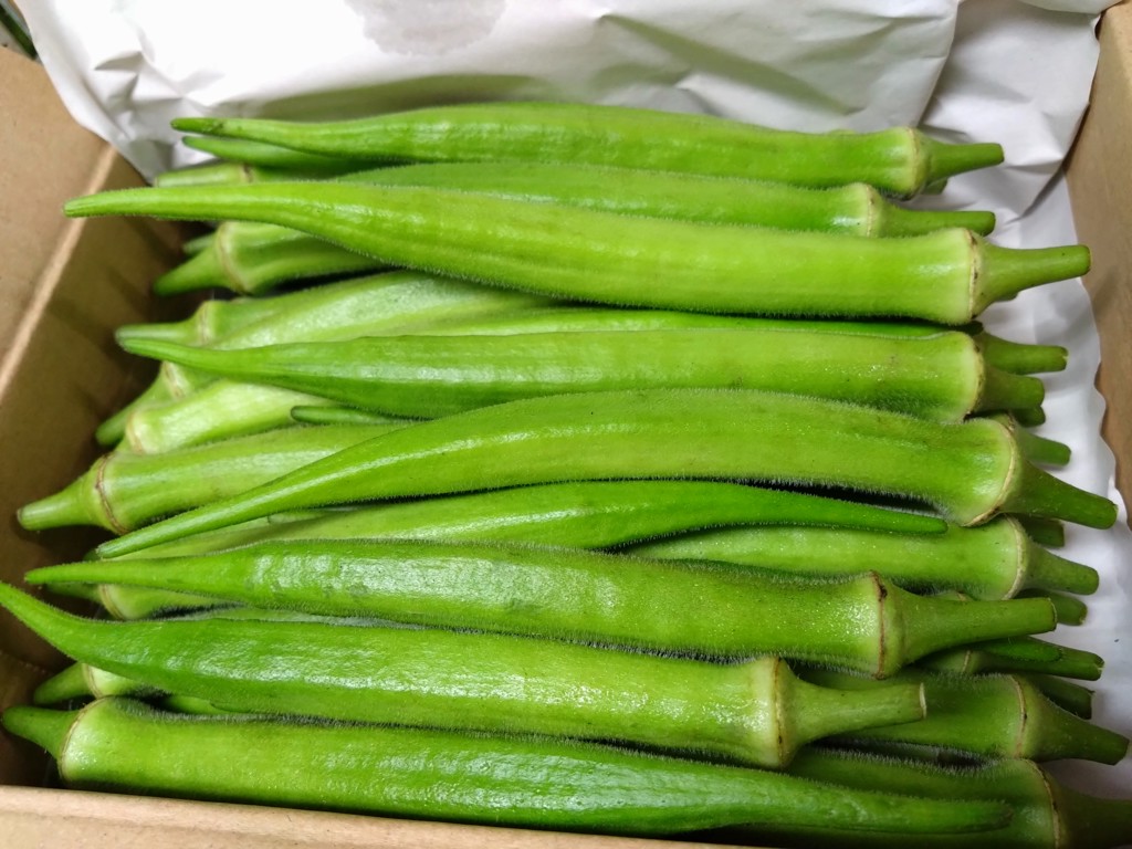 オクラ 八丈オクラ ～1kg規格～ (江戸東京野菜): JA全農東京|【JAタウン