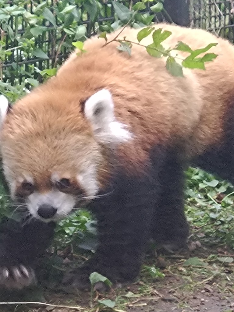 なつ