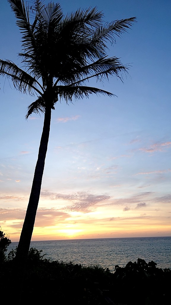 SUKALA】ブラトップ付きバルーンカシュクールトップス(Sサイズ