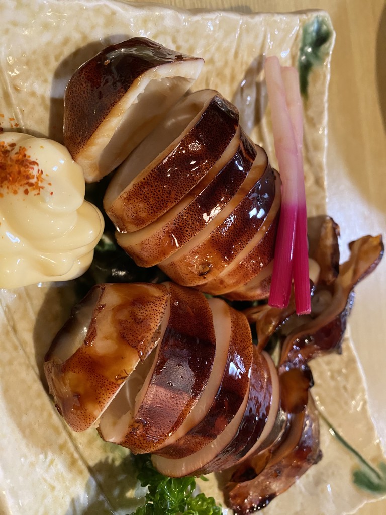 ニコロビン