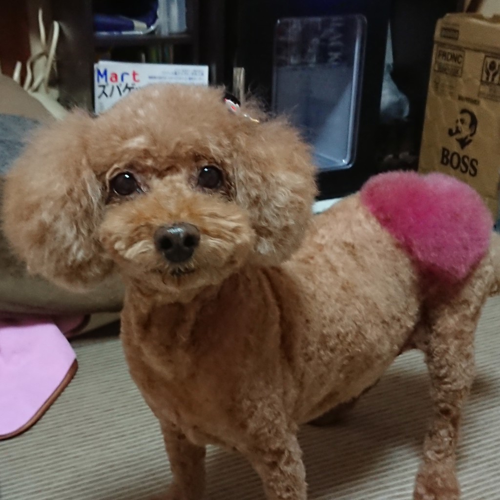 ユーザーアイコン