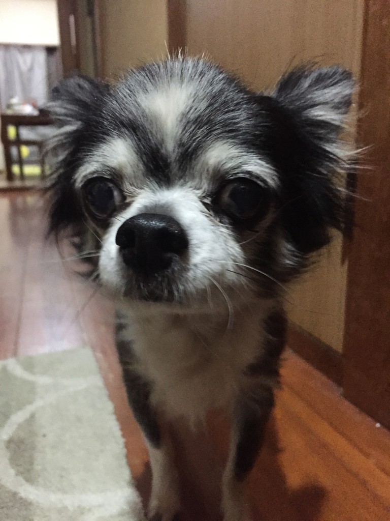 AKISHI