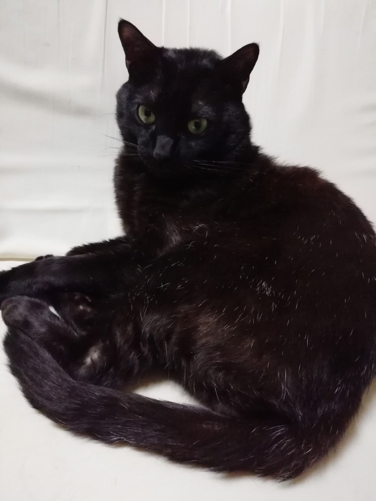 ひとみん