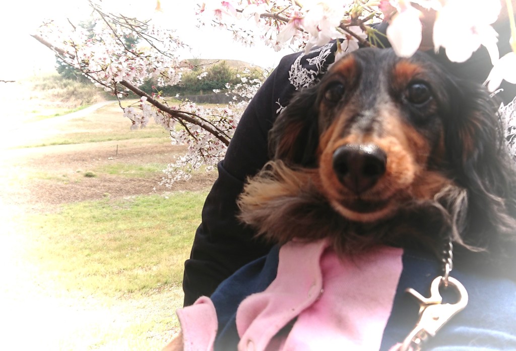 にも