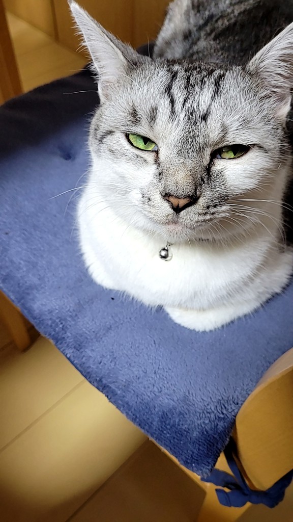 はな