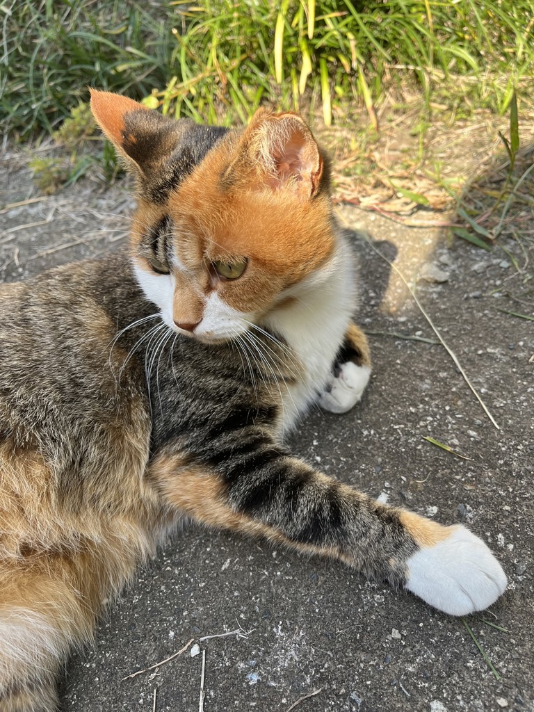 ちびちゃん