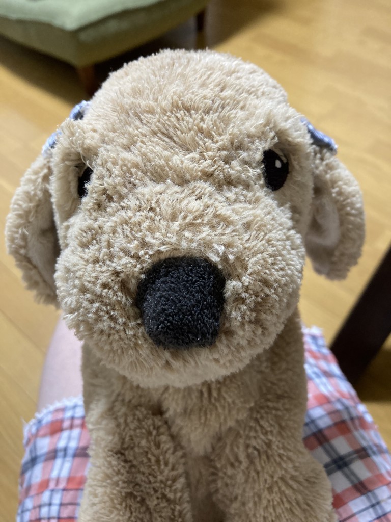 あんちゃん