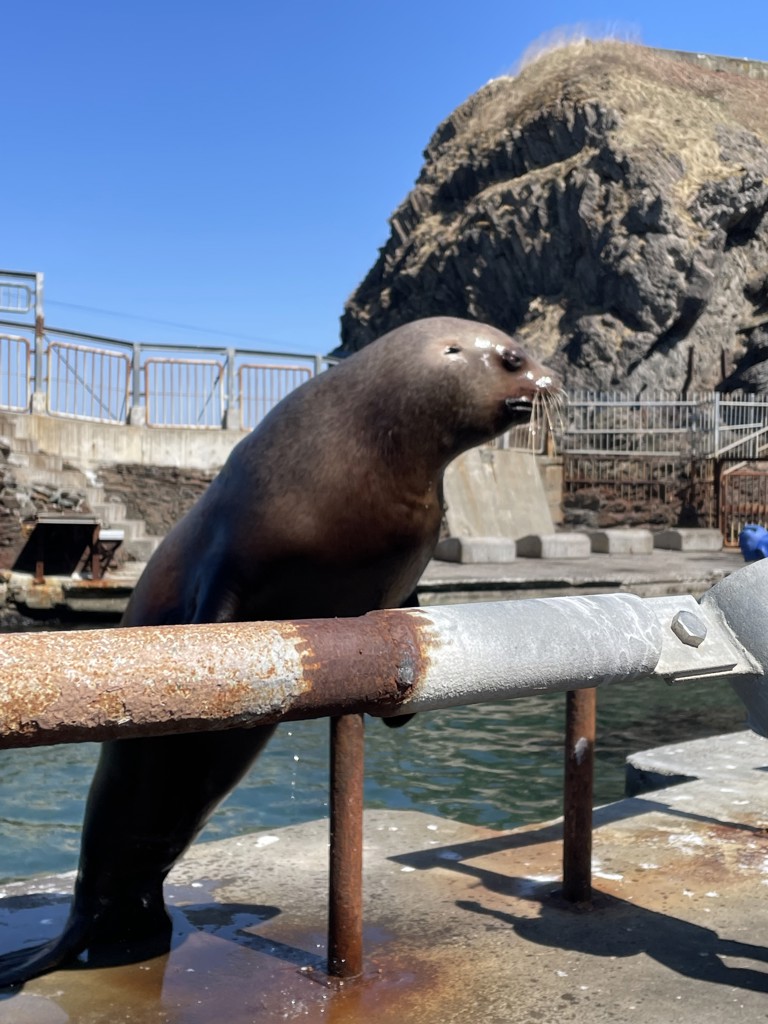 ユーザーアイコン