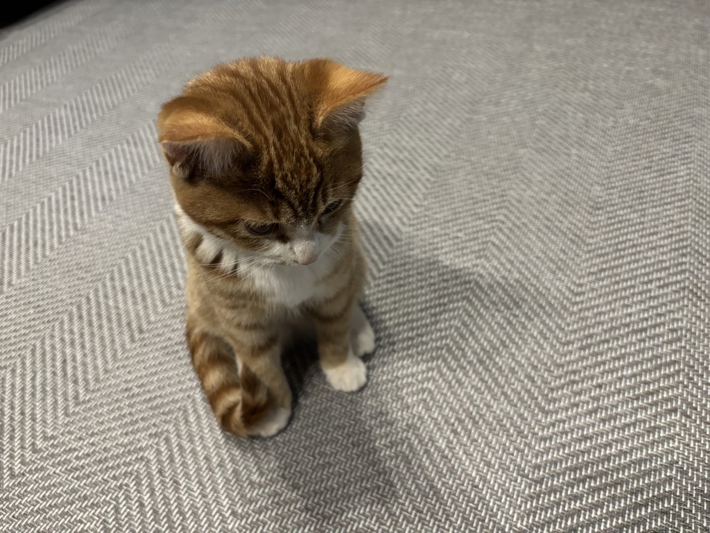 no name