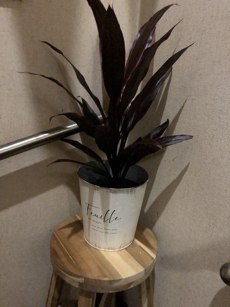 ヒデぽよ