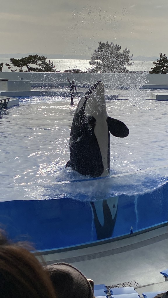 ハイジフレンズフォレスト 巾着 HFO-201099(アイボリー): FEILER