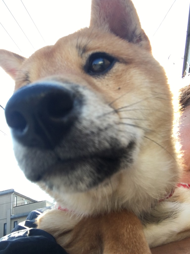 yama