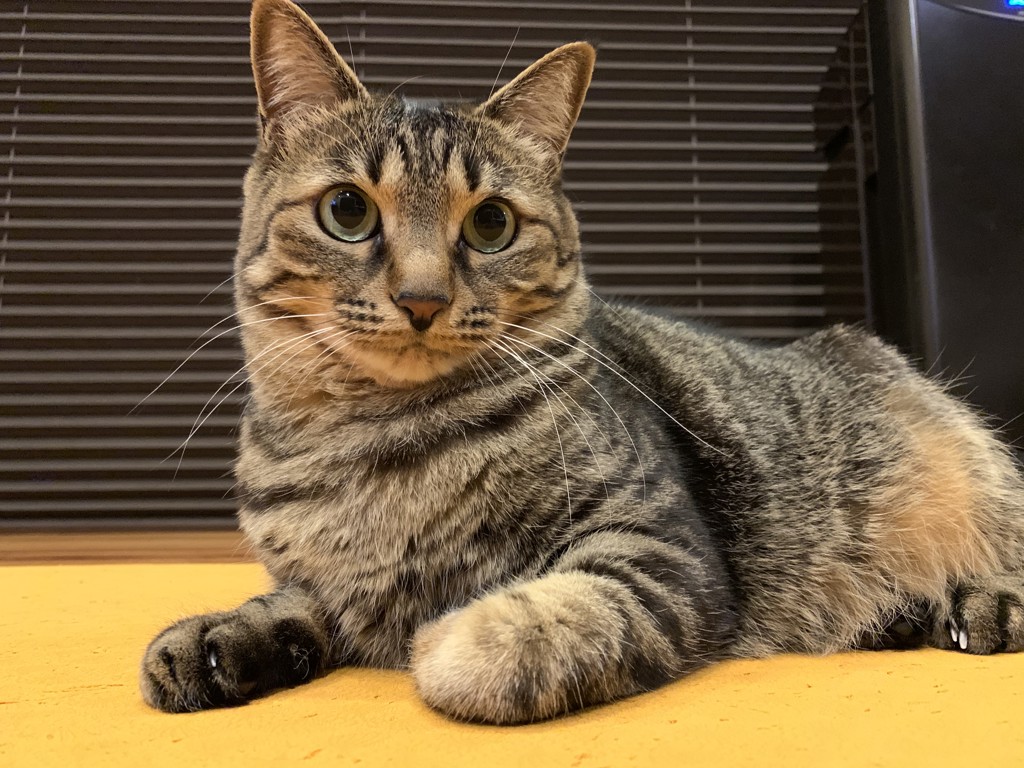 ムーさん