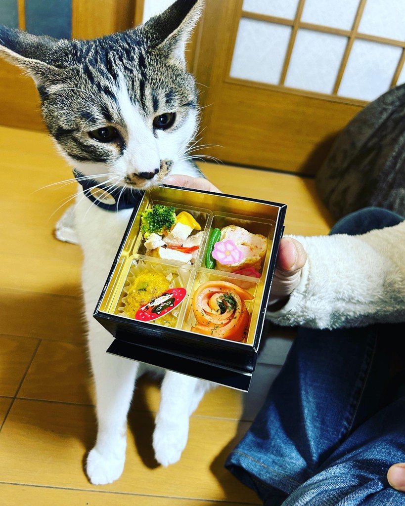 ASHのママ