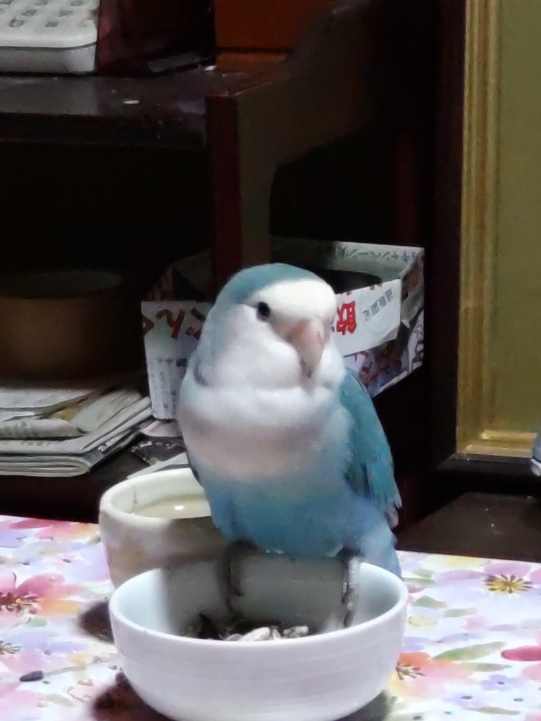 ユーザーアイコン