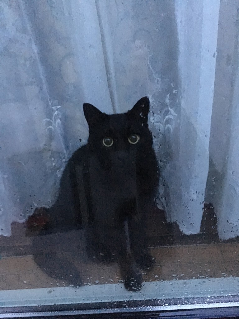 みゅう