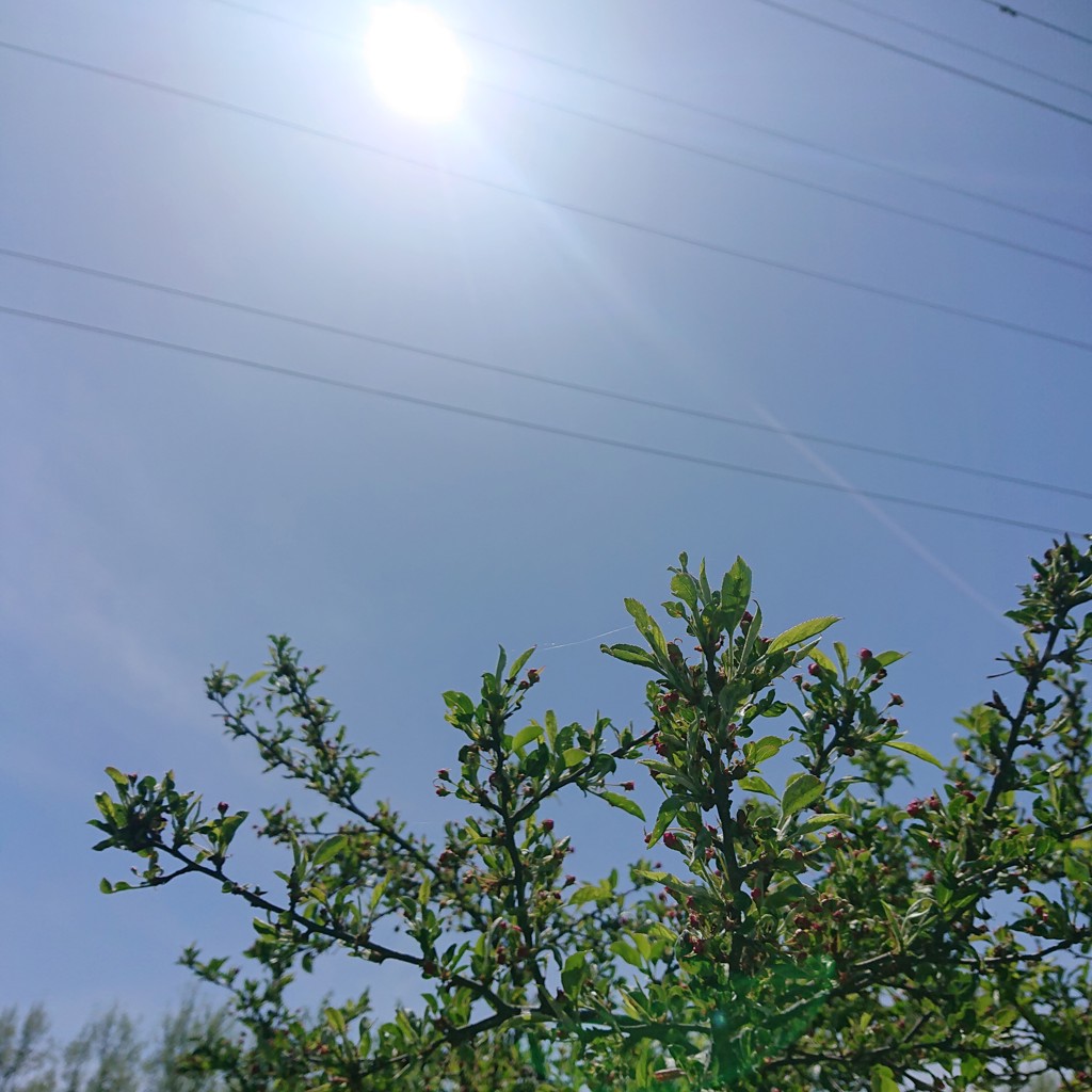 与一