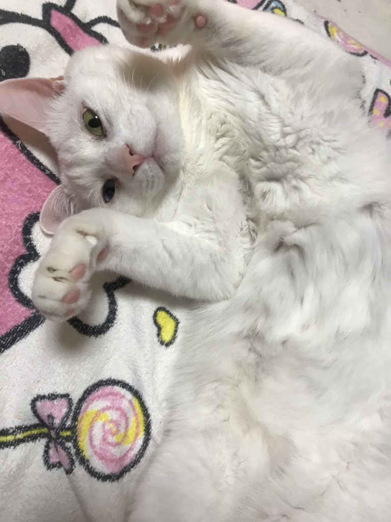 no name