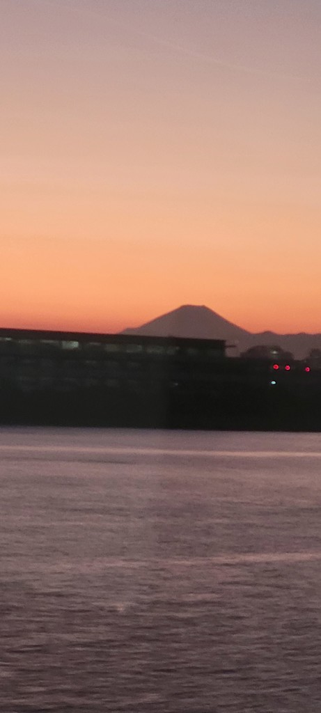 たろっぴ