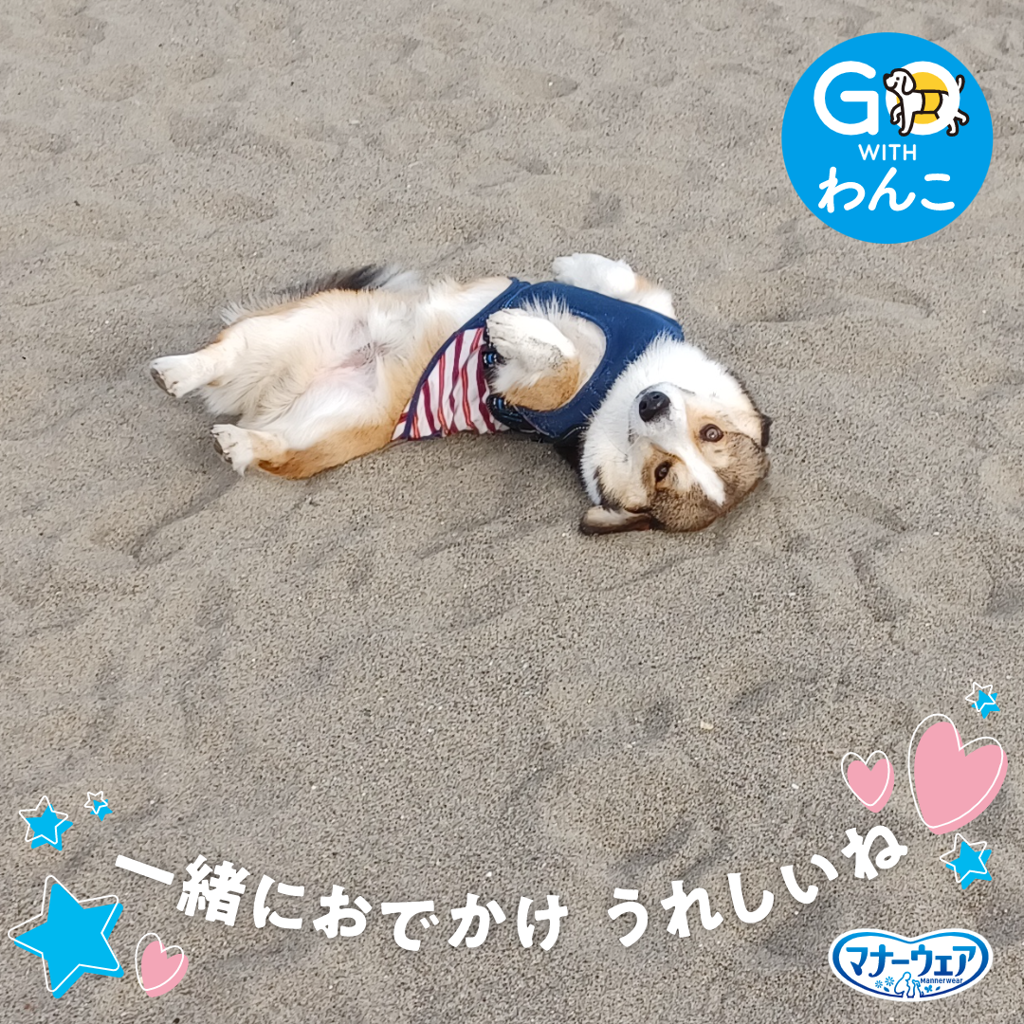 さばお