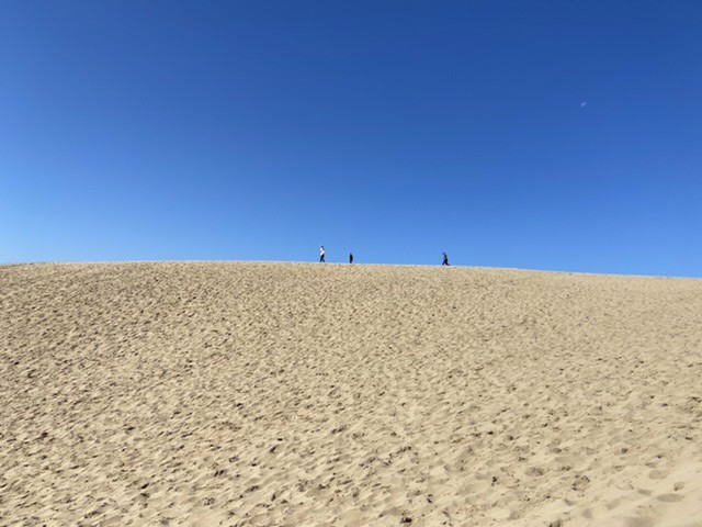 麦