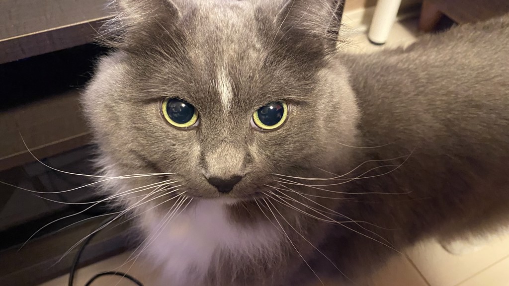 ひかるん