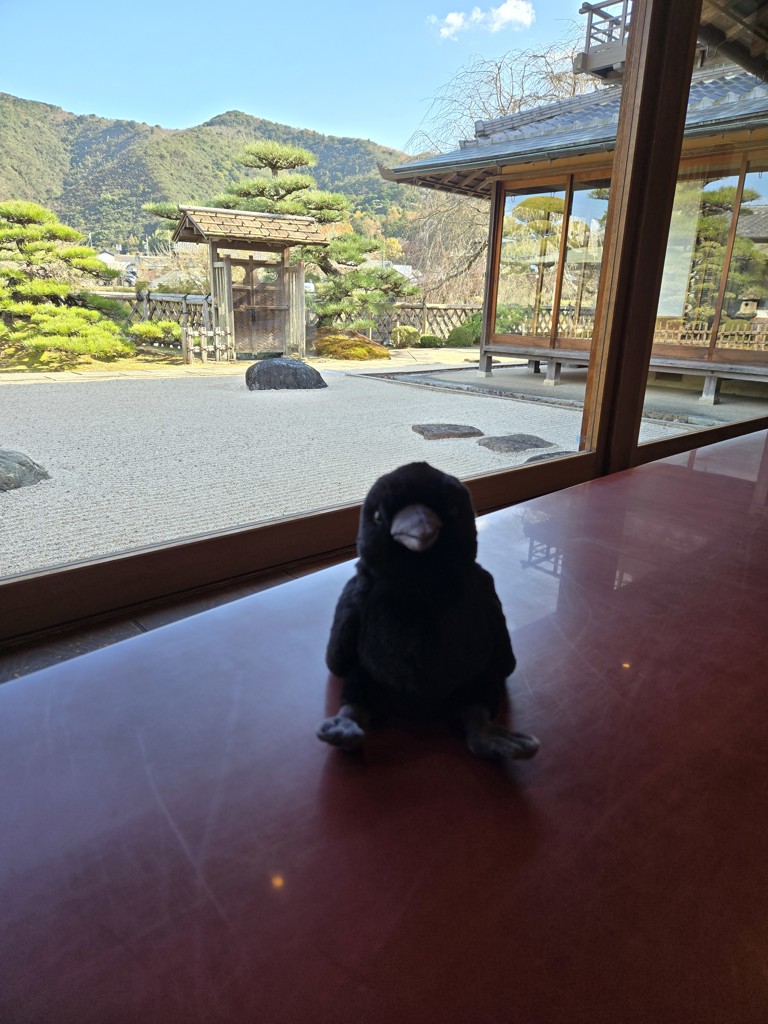 海苔
