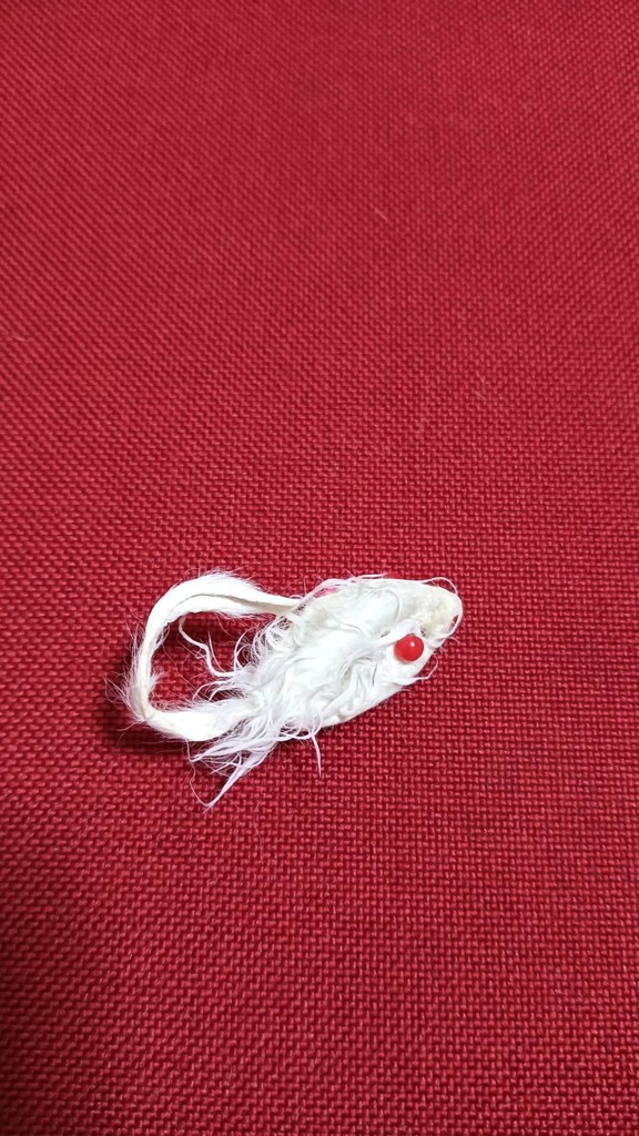 おやこうこう