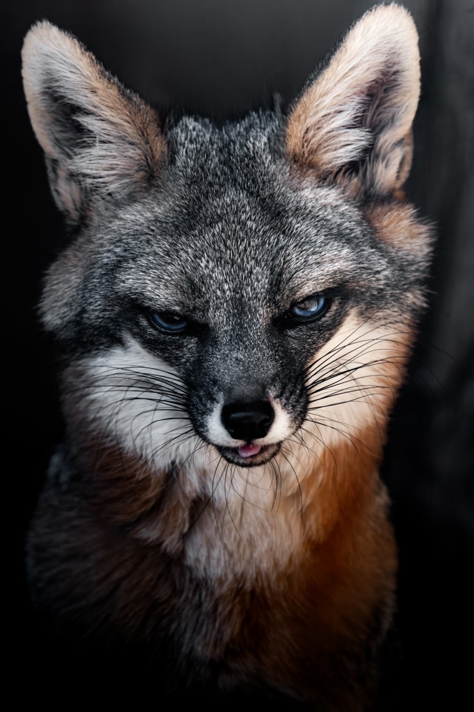 ユウキ