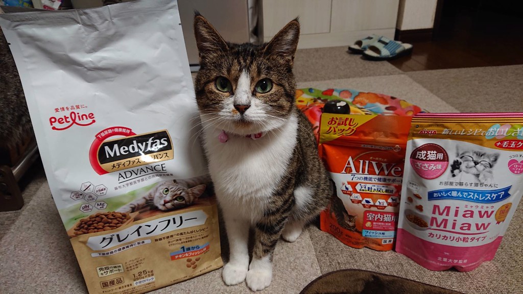 しろこり