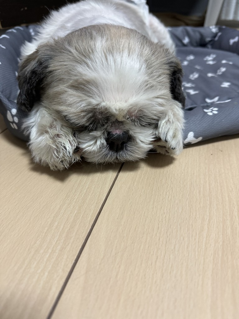 ユーザーアイコン