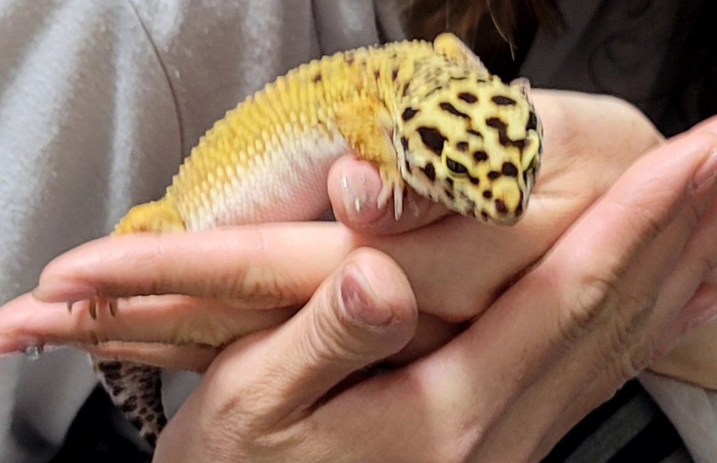りょーみ