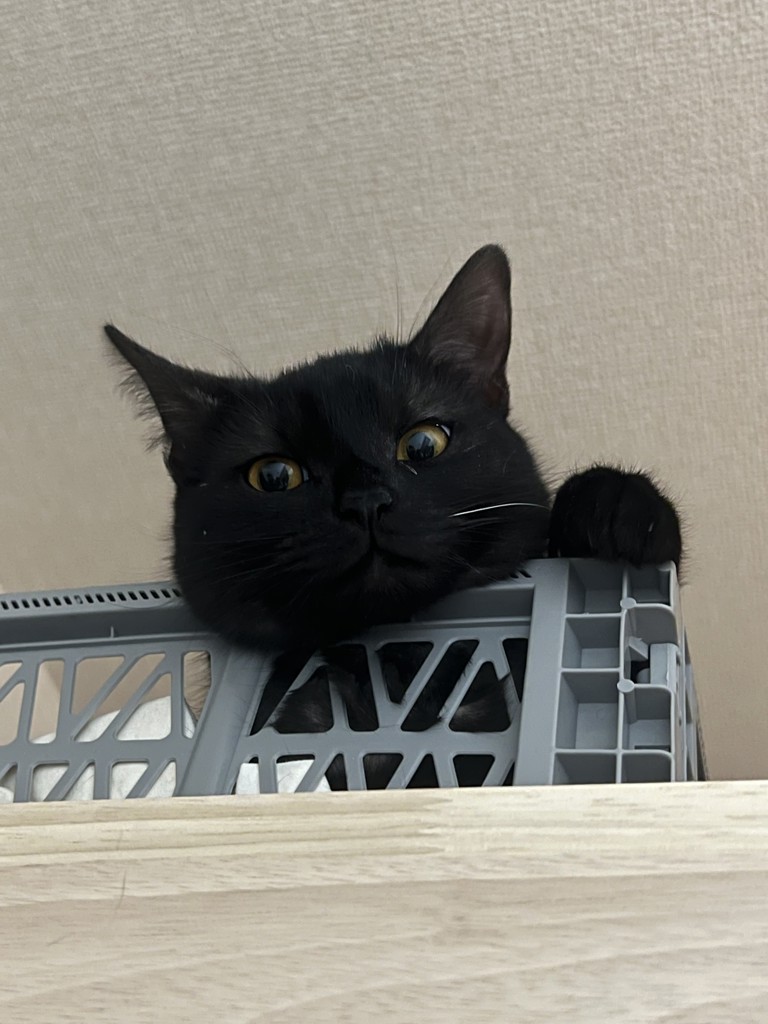 no name
