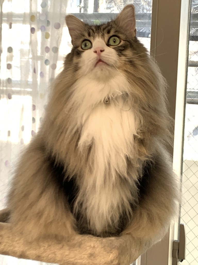 no name