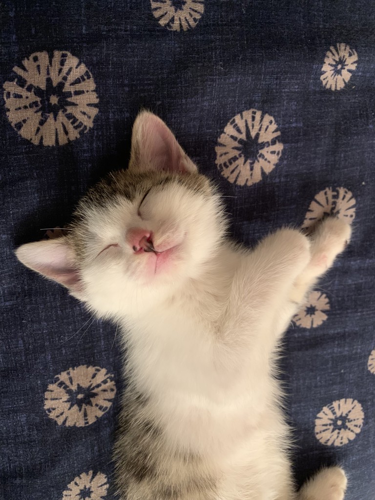 かんちゃん