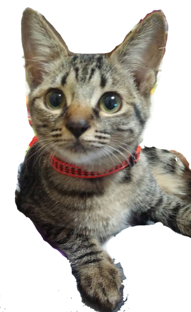 no name