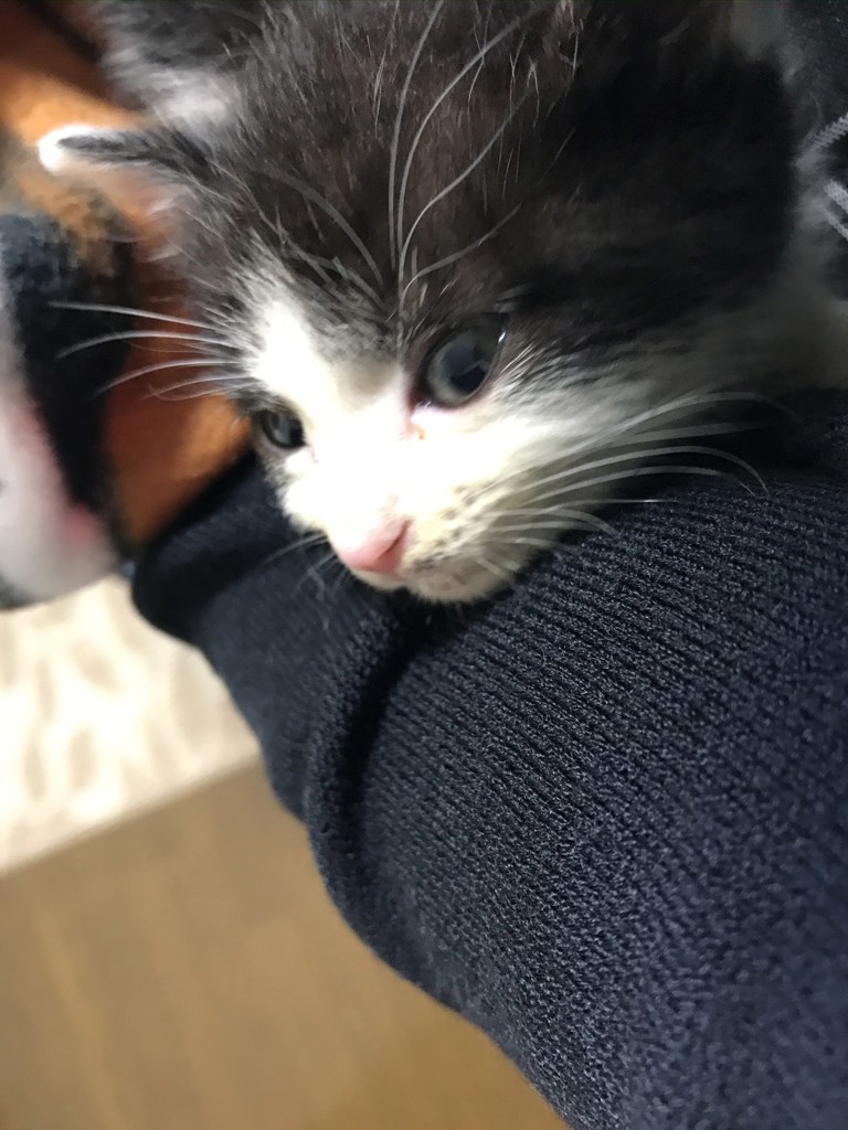 no name