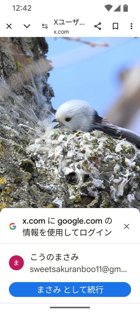 マサミ