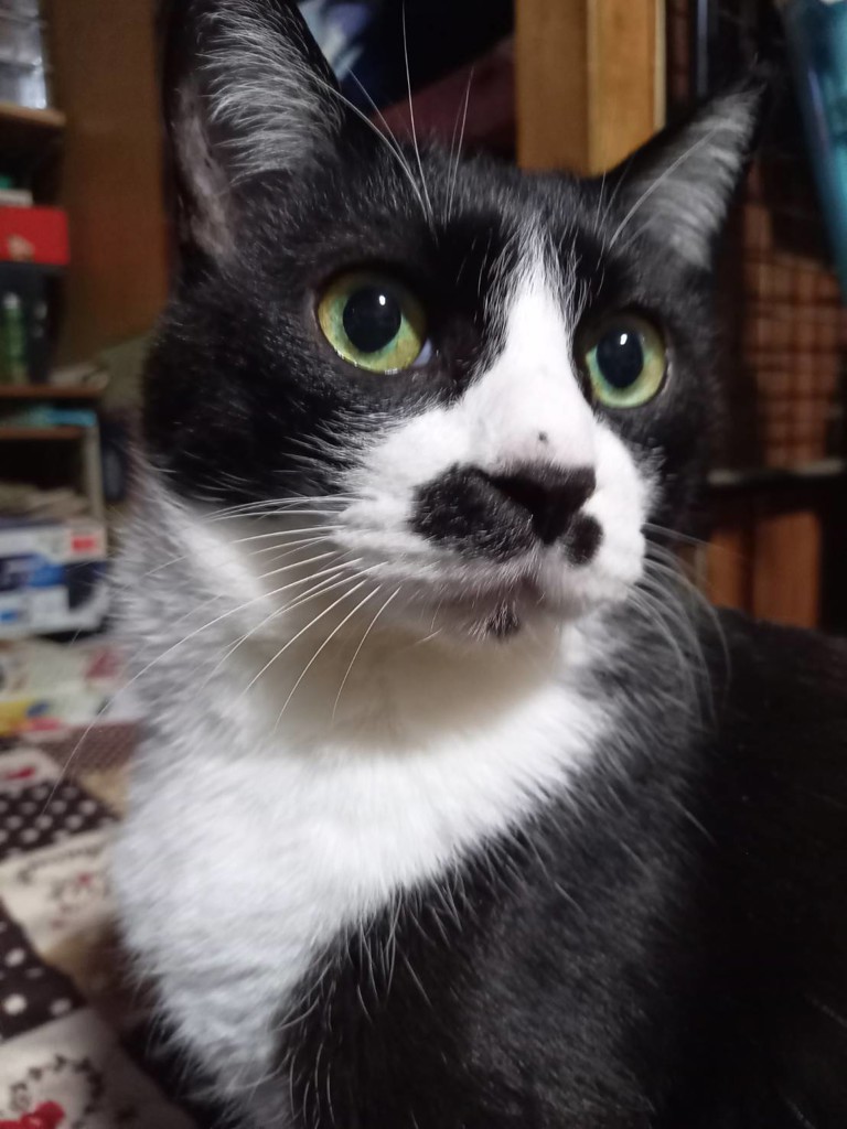 ユーザーアイコン