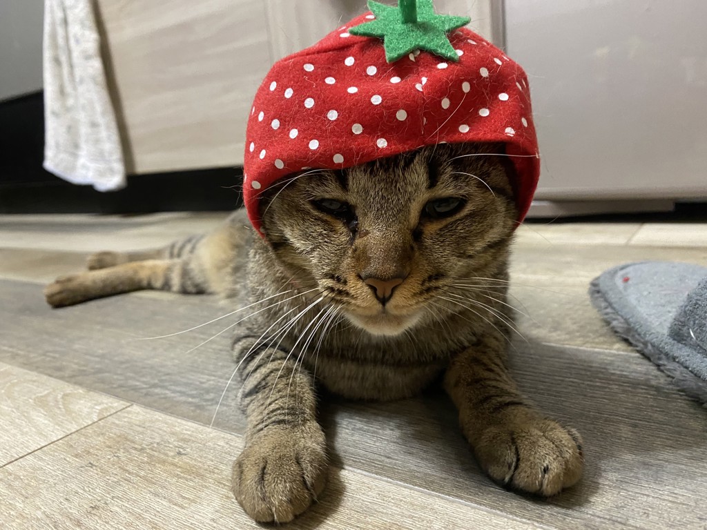 ユーザーアイコン