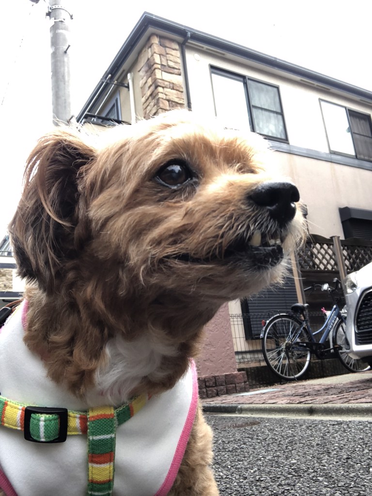 てけ座右衛門