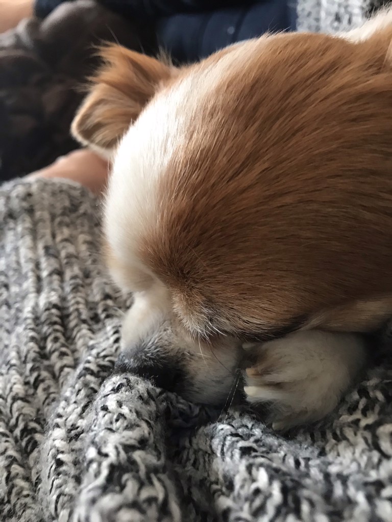 くっちゃん