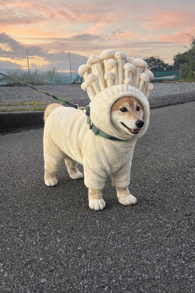 額 KS-251001(ホワイト): FEILER｜フェイラー公式オンラインショップ