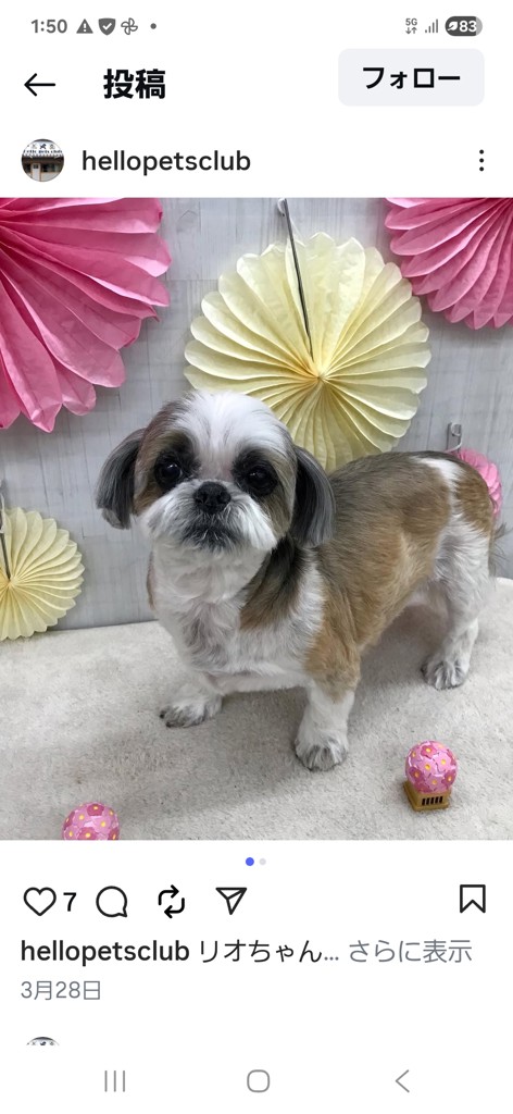 ユーザーアイコン