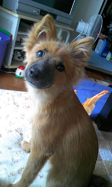 no name