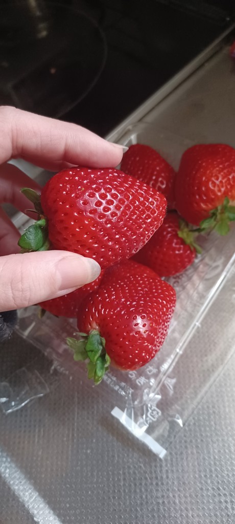 ユーザーアイコン
