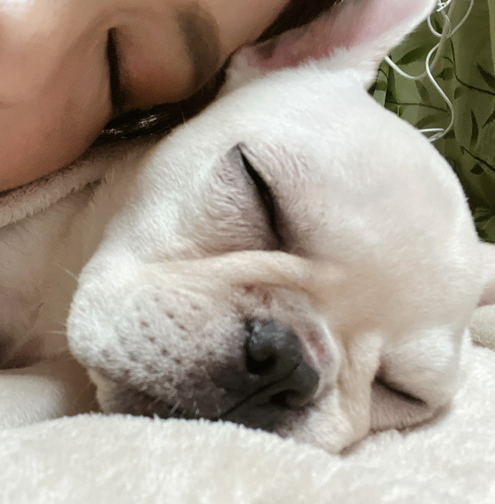 ユーザーアイコン