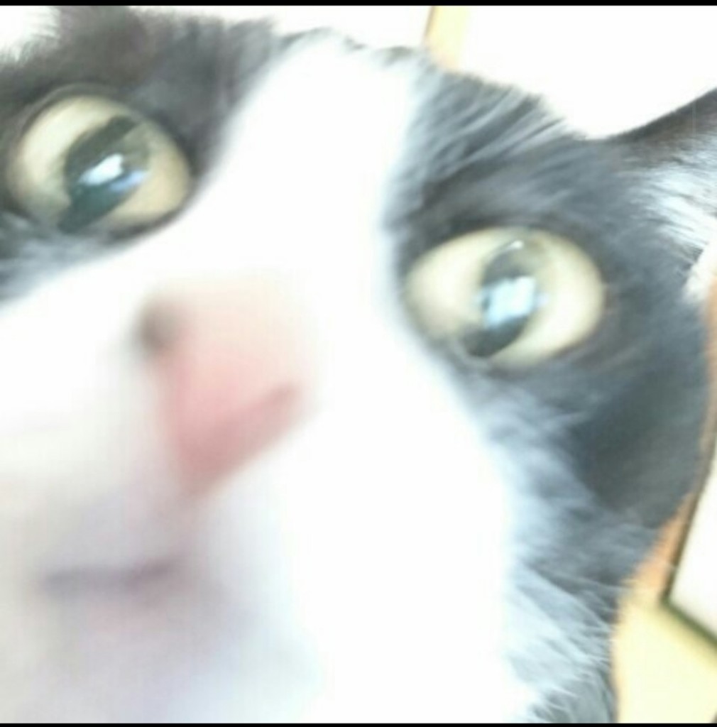ゆーき